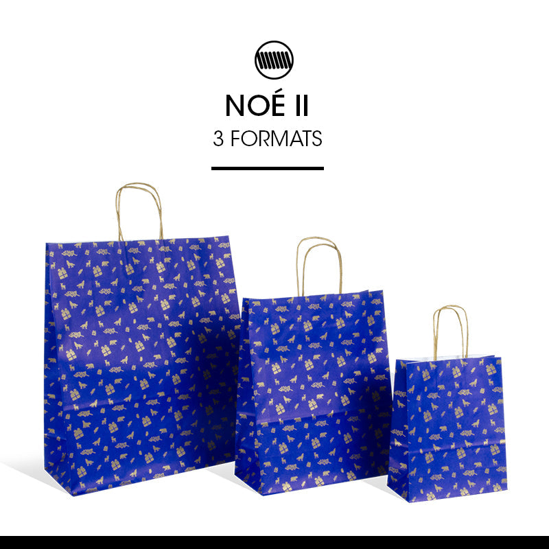 Sac Noe II|kraft blanc|poignées torsadées|35+14x41cm|par 250