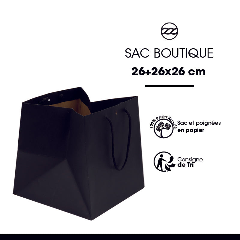 Sac luxe Grand Cube|krfat noir|poignées papier|26+26x26cm|par 120