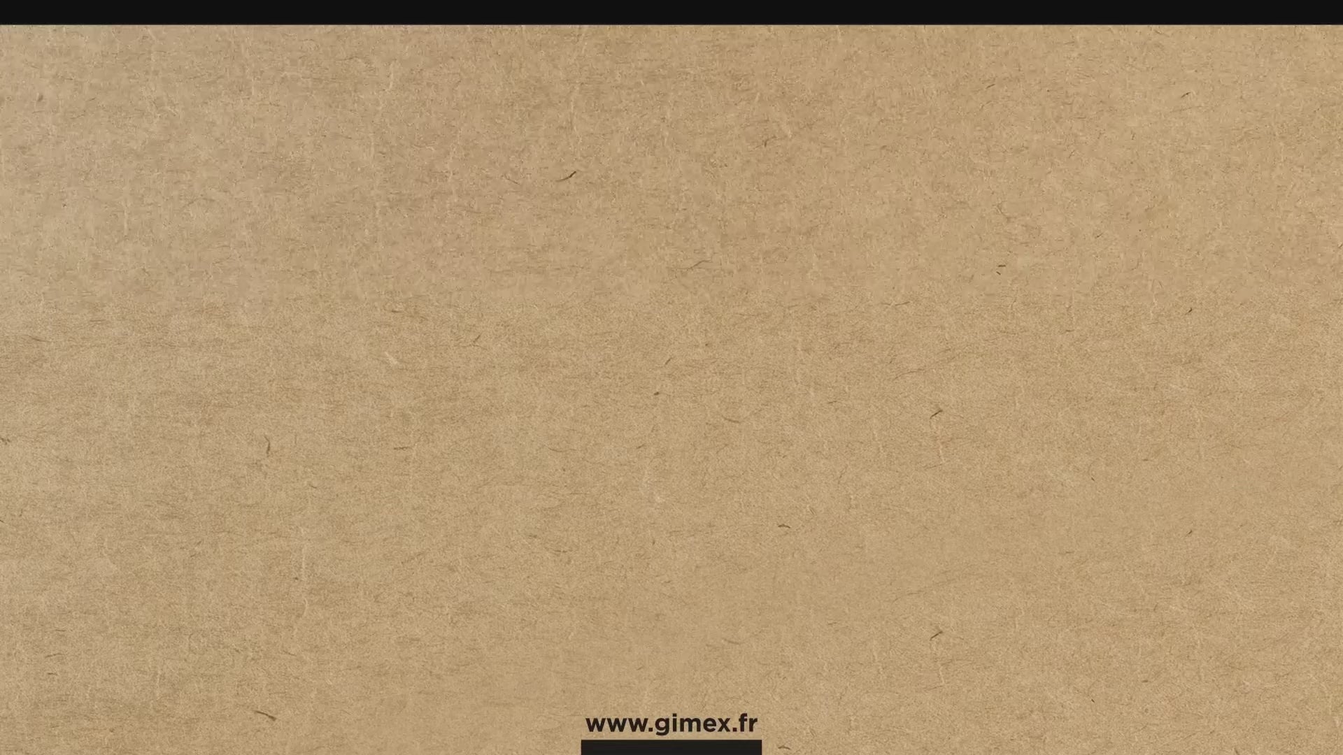 Charger la vidéo :