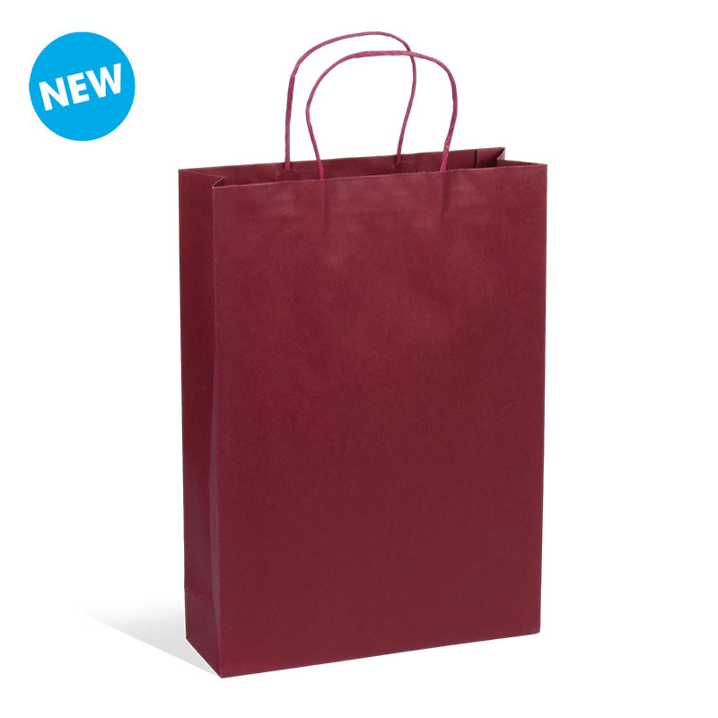 Sac 3 bouteilles Lie de Vin kraft poignées torsadées 27+9x38cm par 100