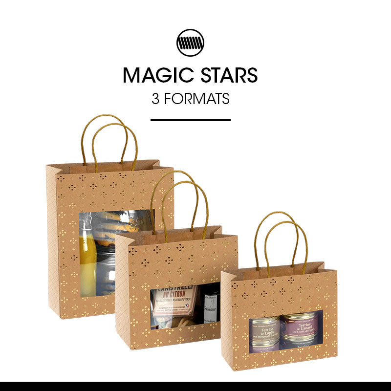 Sac Magic Stars fenêtre kraft brun poignées torsadées 22+11x28cm par 168