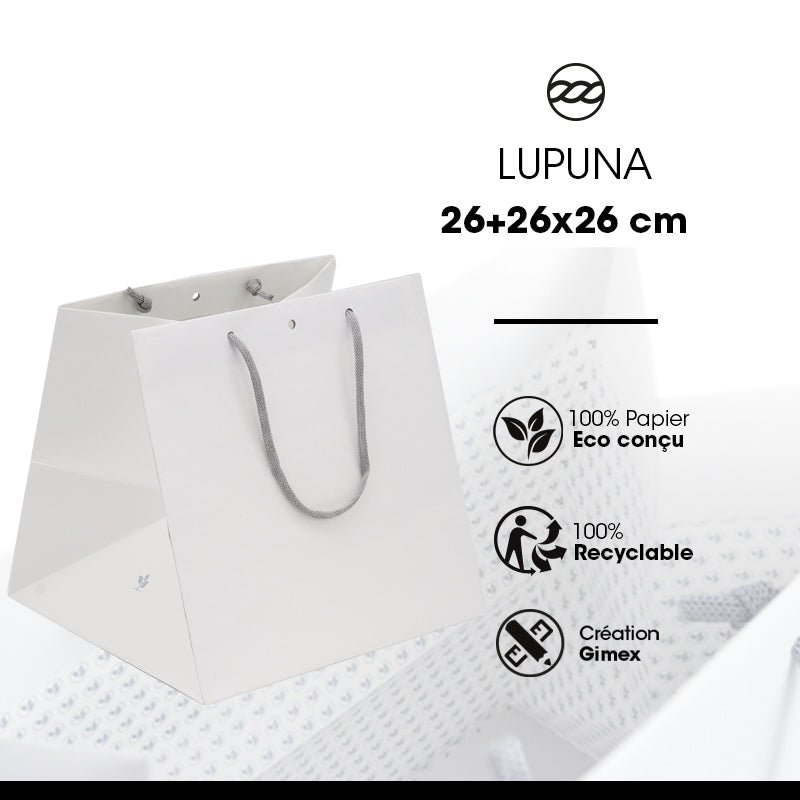 Sac boutique Grand Cube Lupuna|poignées papier|26+26x26cm|par 120