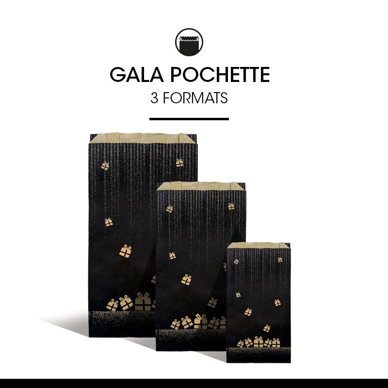 Pochette Cadeau Gala kraft brun 70gr 12+5x24cm par 1000